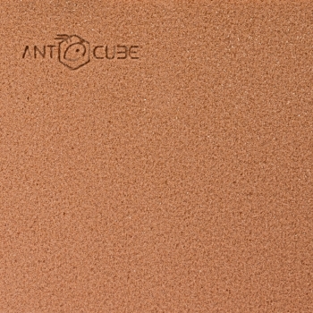 ANTCUBE - Terra nidum 20x20 - L - beige