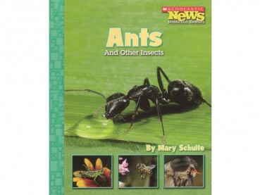 Buch: Ants - And Other Insects