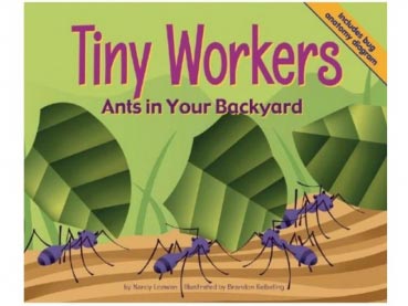 Book: Tiny Workers