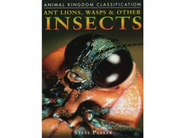 Book: Ant Lions, Wasps & Other Insects