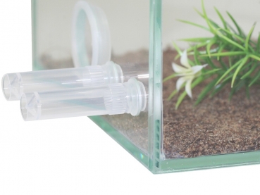 Ants feed tube 2ml