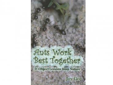 Book: Ants Work Best Together - 31 Object Lessons from Nature