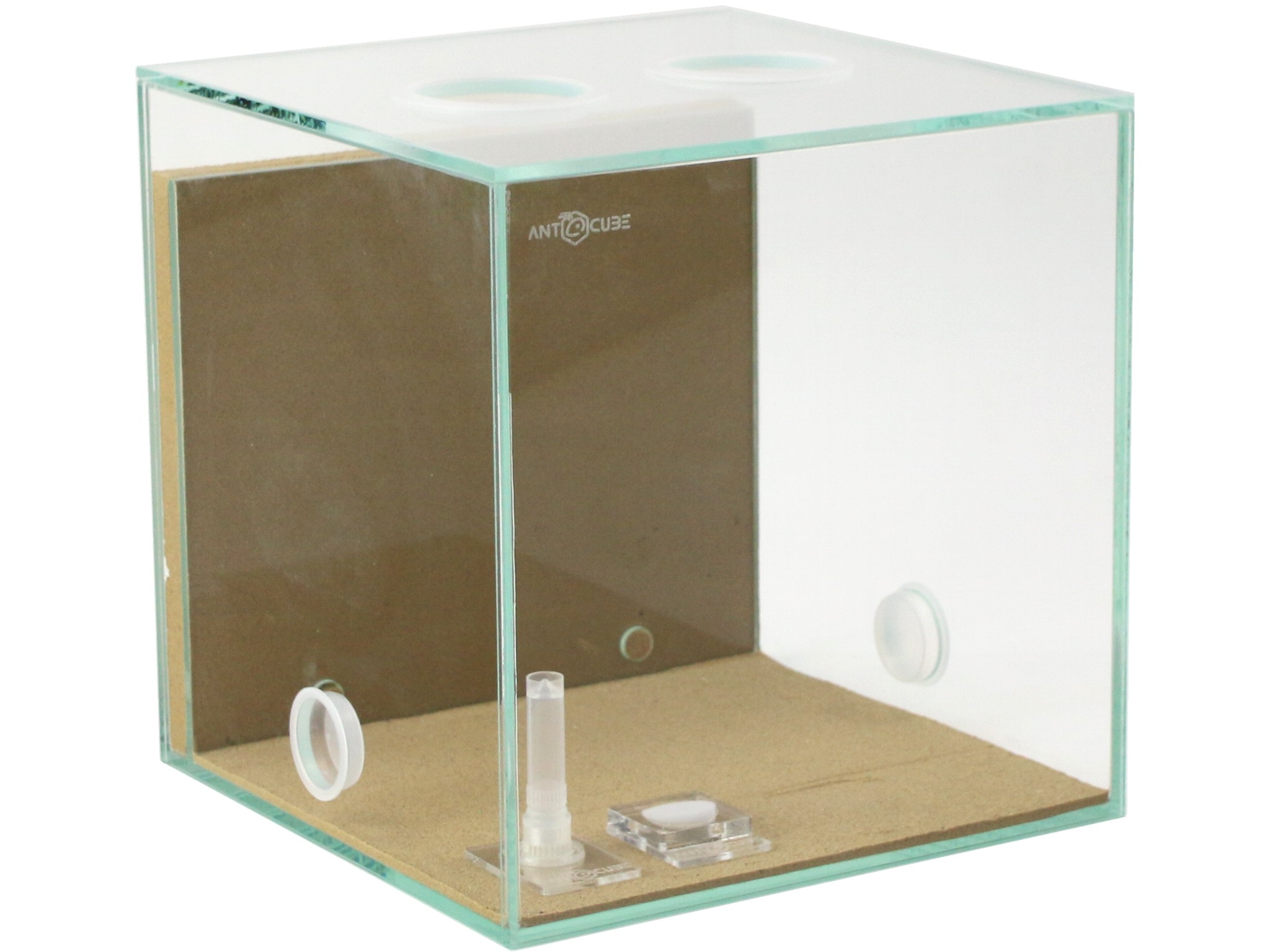 ANTSHOP Austria - ANTCUBE Starter Kit S - 20x20cm - Combi