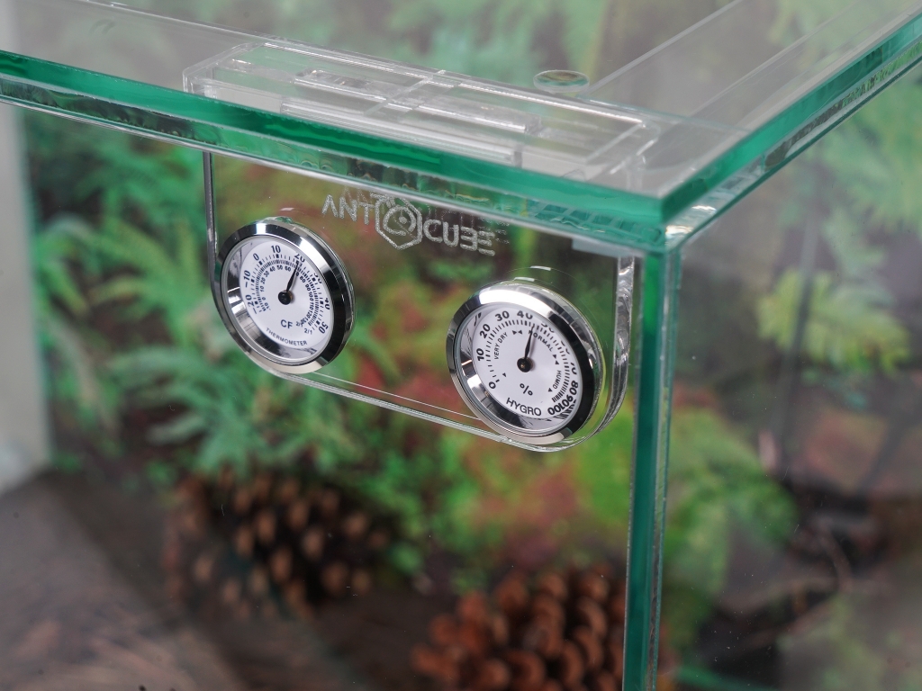 Mini thermo- hygrometer analogue - Display - hanging