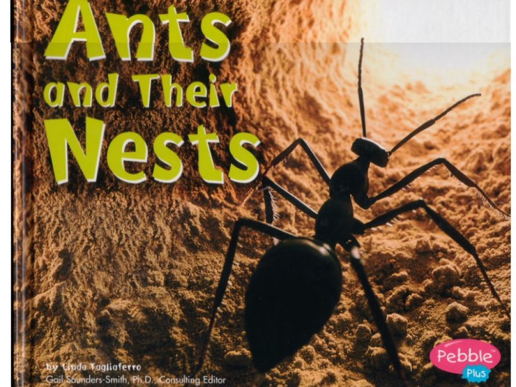 Book: Ants and Their Nests