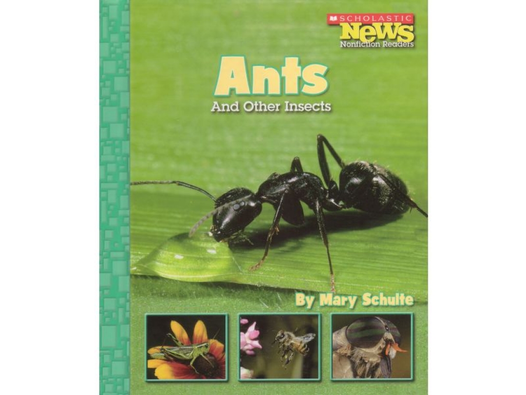 Book: Ants - And Other Insects