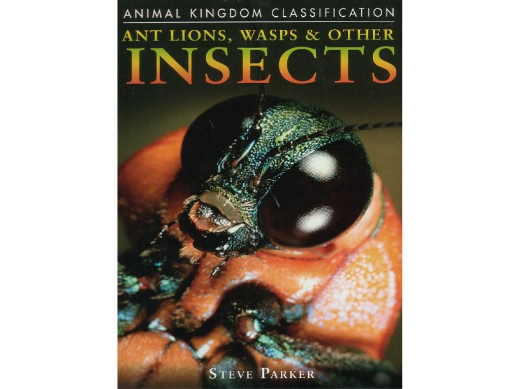 Book: Ant Lions, Wasps & Other Insects