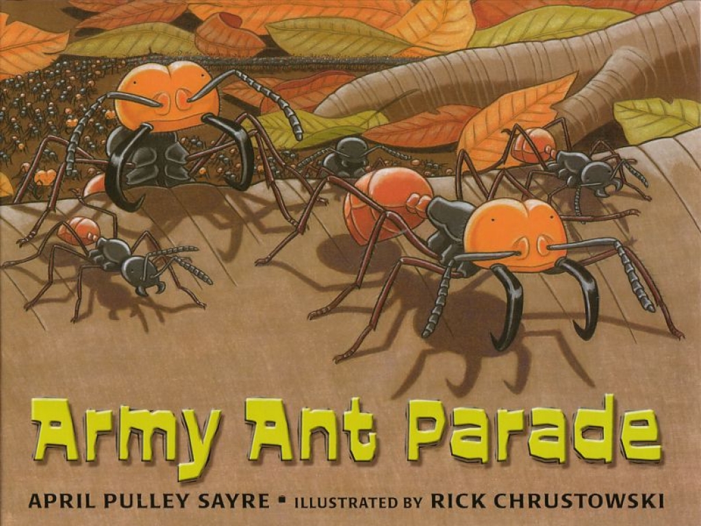 Book: Army Ant Parade