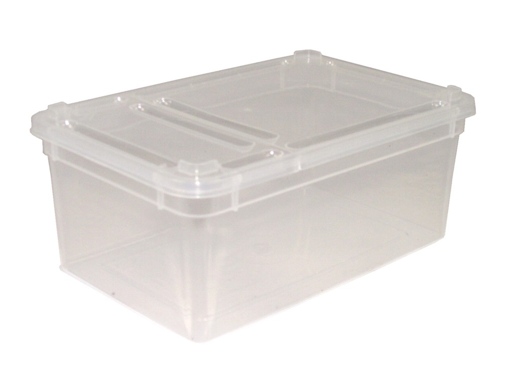 BraPlast Dose 1,3 L clear box with flap lid