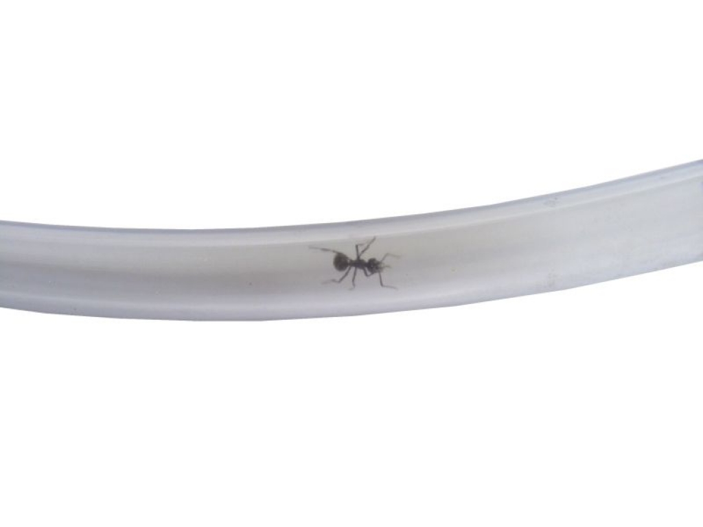 flexible tube transparent 14/10 mm