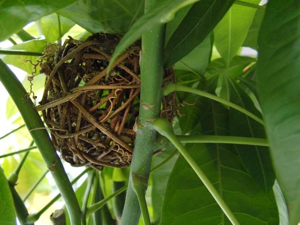 Natural Nest ball 10 cm - rough