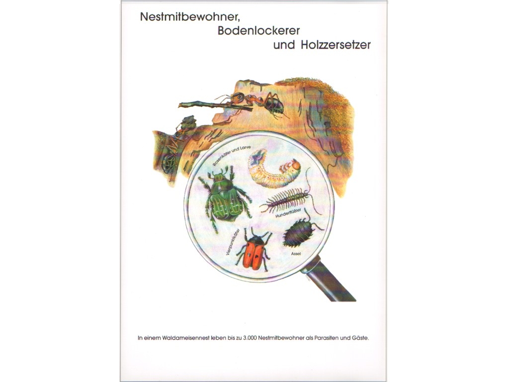 Poster: Nestmitbewohner, Bodenlockerer, Holzzersetzer